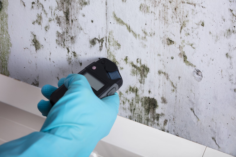dehumidification-mold Mold detection service