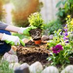 Does Gardening Affect Your HVAC Performance?