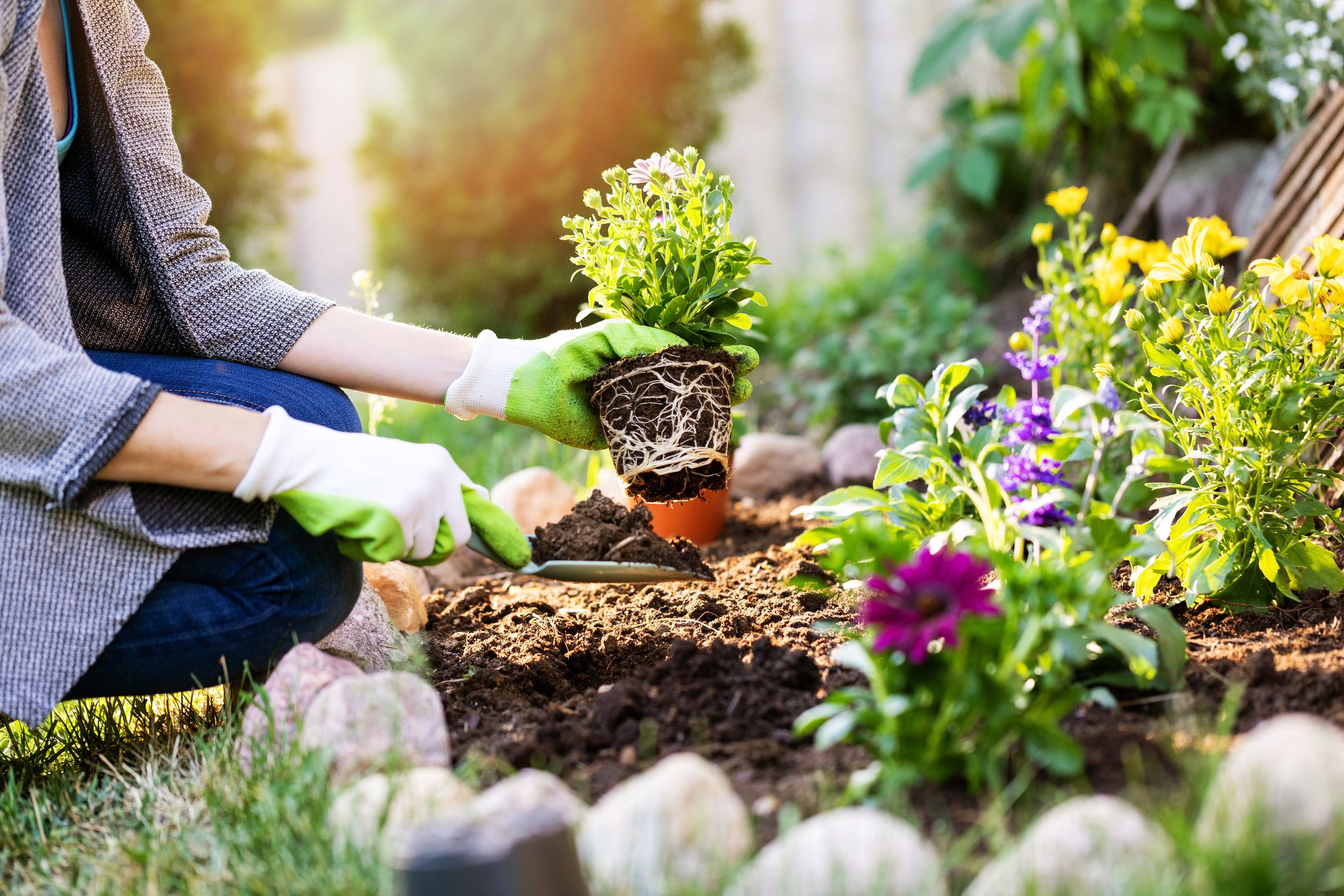 gardener planting flowers in garden bed - Detmer and Sons